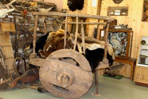 photo of Ox Cart on display
